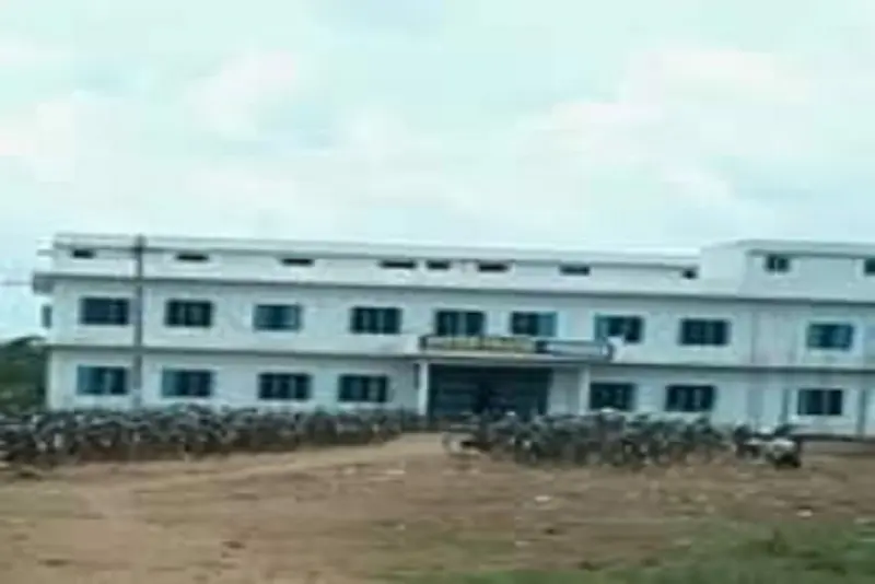 System Degree College
